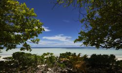 Canopy by Hilton Seychelles